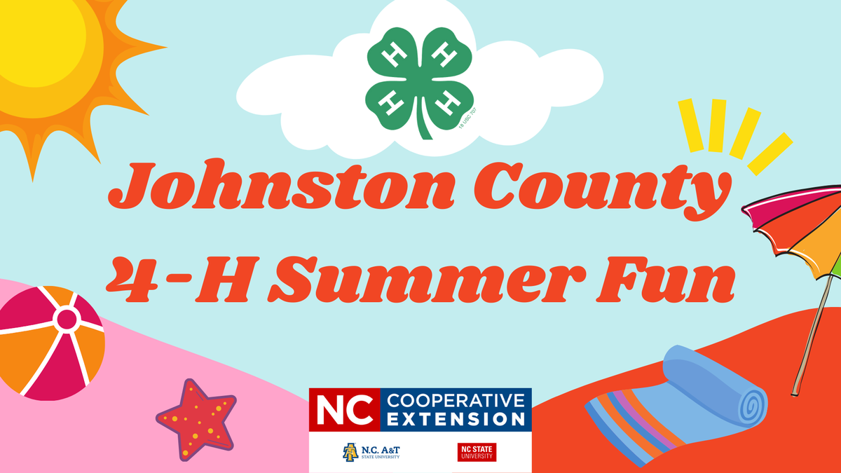 4-H Summer Fun banner