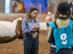 Horse judge working