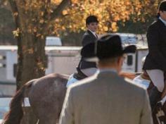 judge watching riders on horses