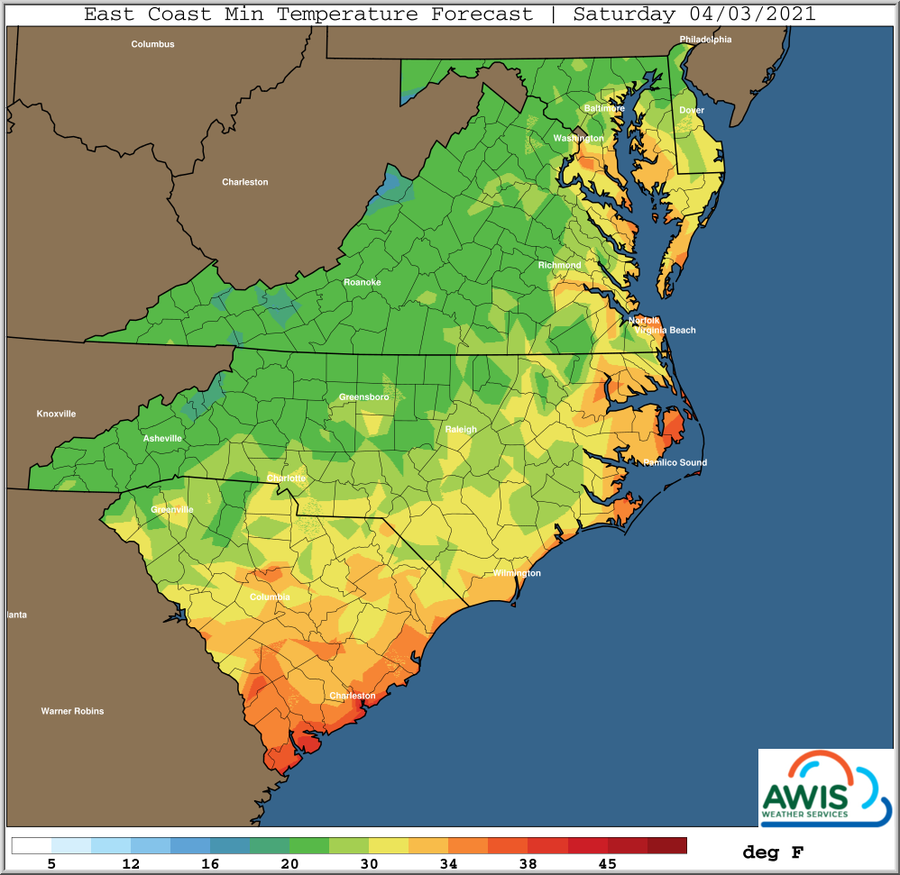 Saturday Temperature chart