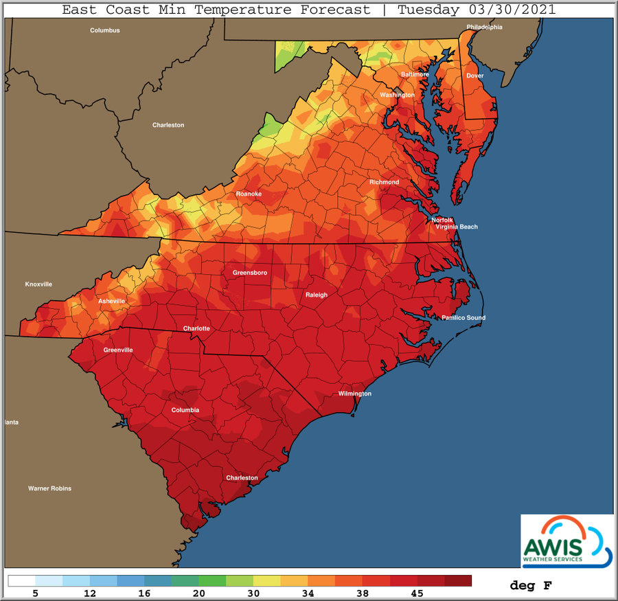 East coast minimum temperature forecast