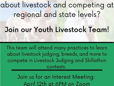 Youth Livestock Team flyer image