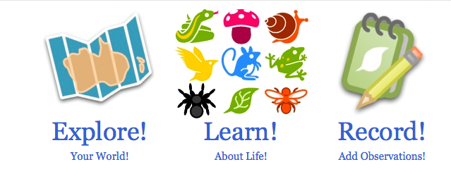 Explore, Learn, Record!