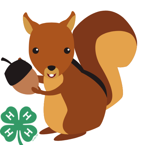 squirrel with acorn and 4-H clover.