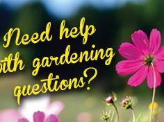 Need help with your gardening questions?
