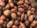 Pile of unwashed sweet potatoes with soil and rootlets