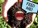 Hands holding soil with a mouth saying "feed me!"