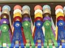 Colorful award rosettes reading "North Carolina State 4‑H Horse Bowl Contest," labeled Individual/Junior/Senior