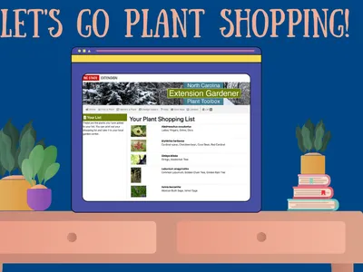 Let's Go Plant Shopping