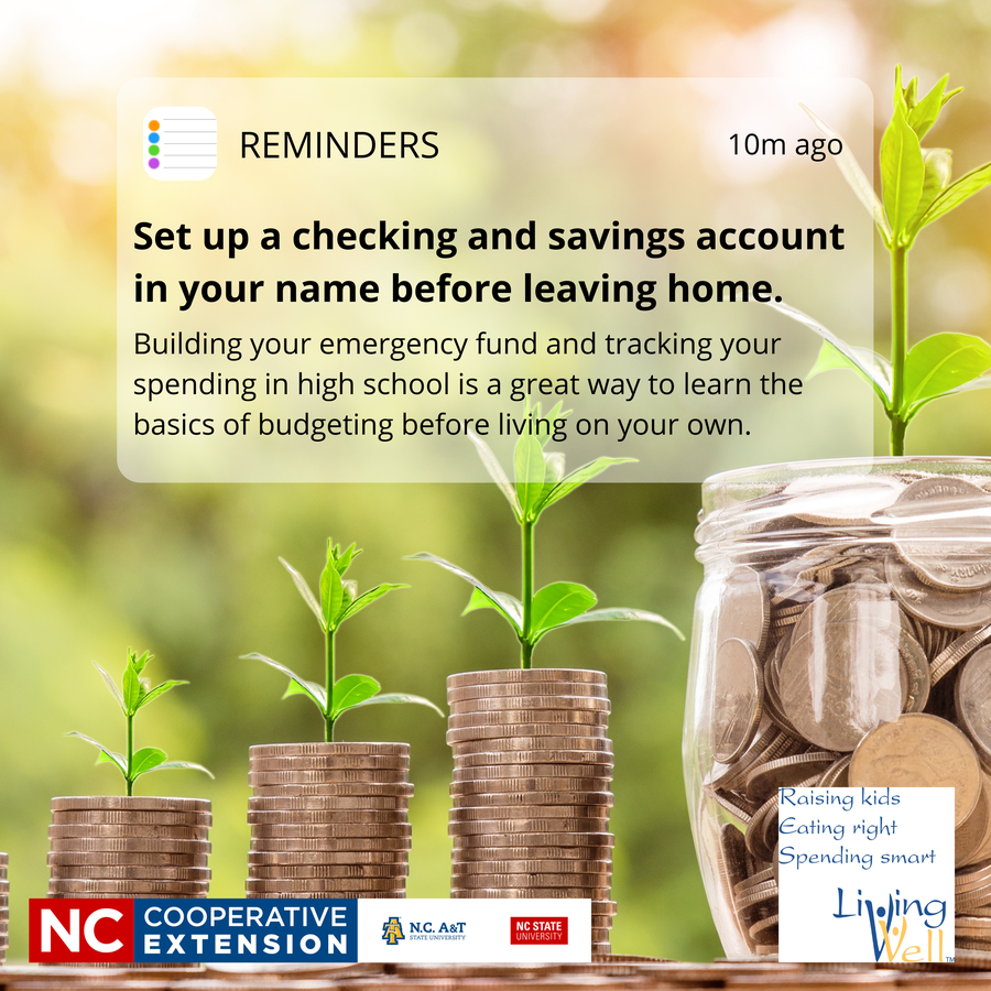 Coins stacked on table with a plant sprouting