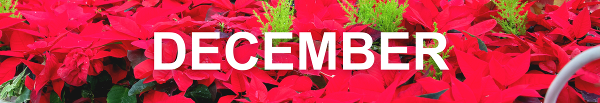 We Grow - December 2020