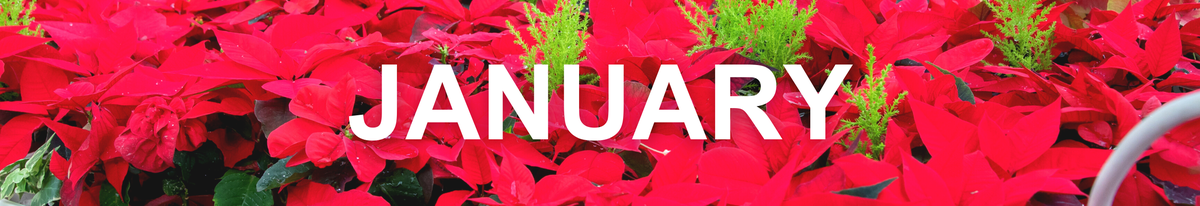 We Grow Union County January