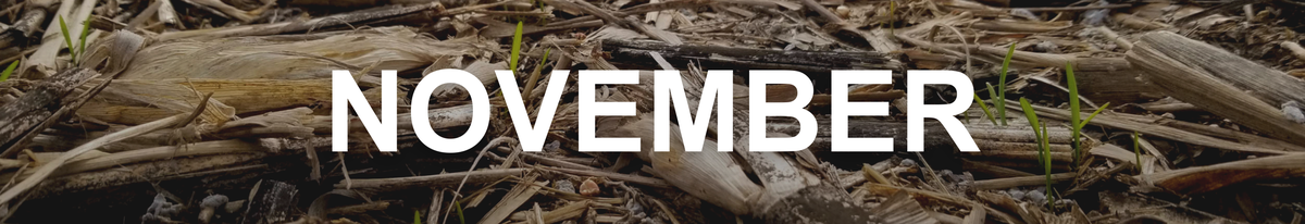 November 2019 - We Grow UC