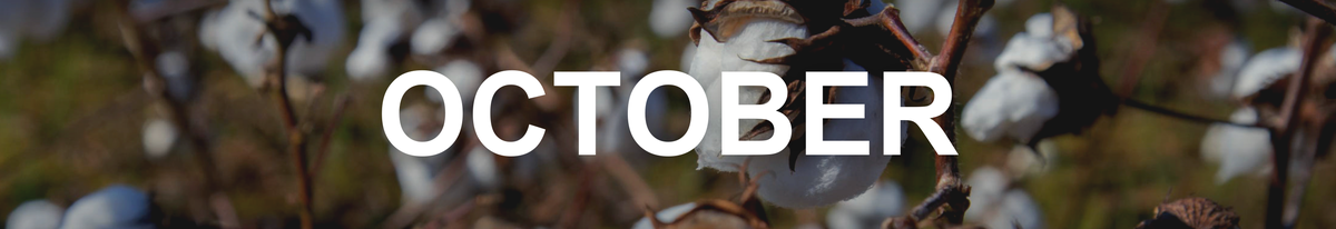 We Grow - October 2020