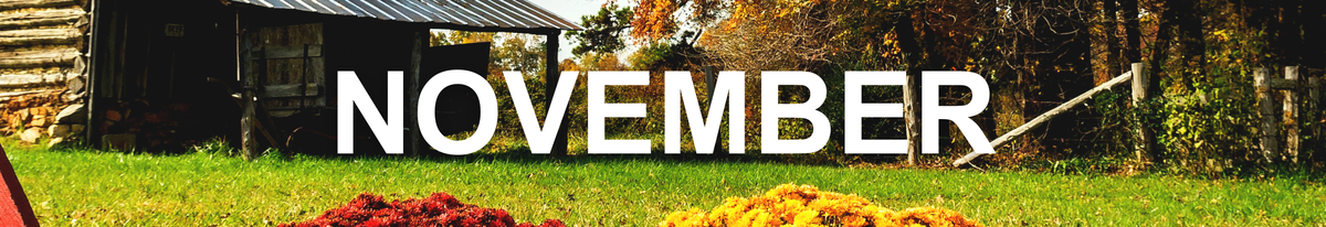 We Grow November 2020