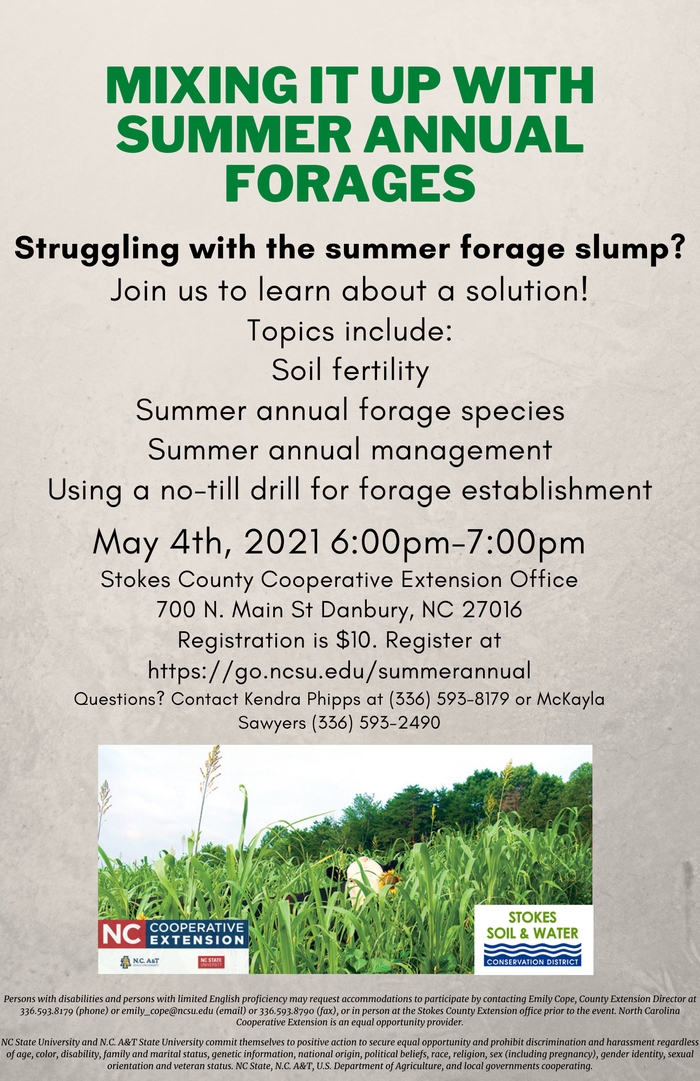summer annual flyers