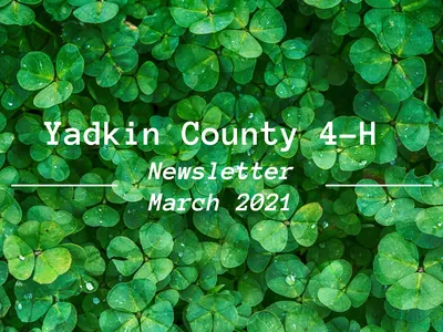 Clover background with text "Yadkin County 4-H Newsletter March 2021"
