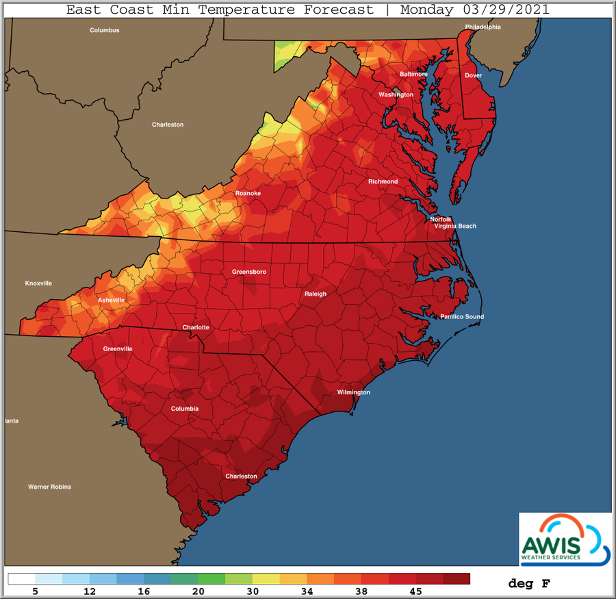 East coast minimum temperature forecast