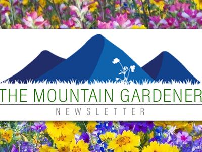 Mountain Gardener header on flower background