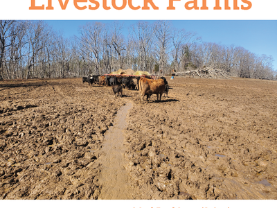 Mud Management For Livestock Farms poster: cows in muddy pasture; April 6th 7pm, go.ncsu.edu/mud