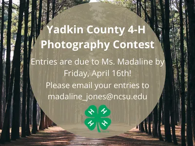 Photography Contest