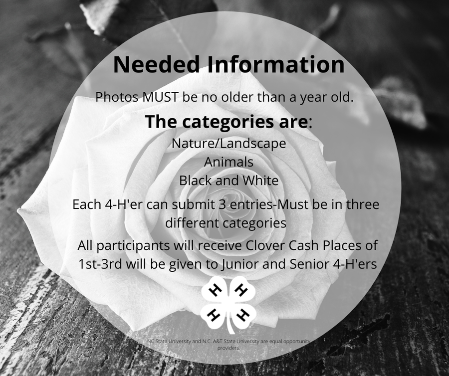Photo Categories