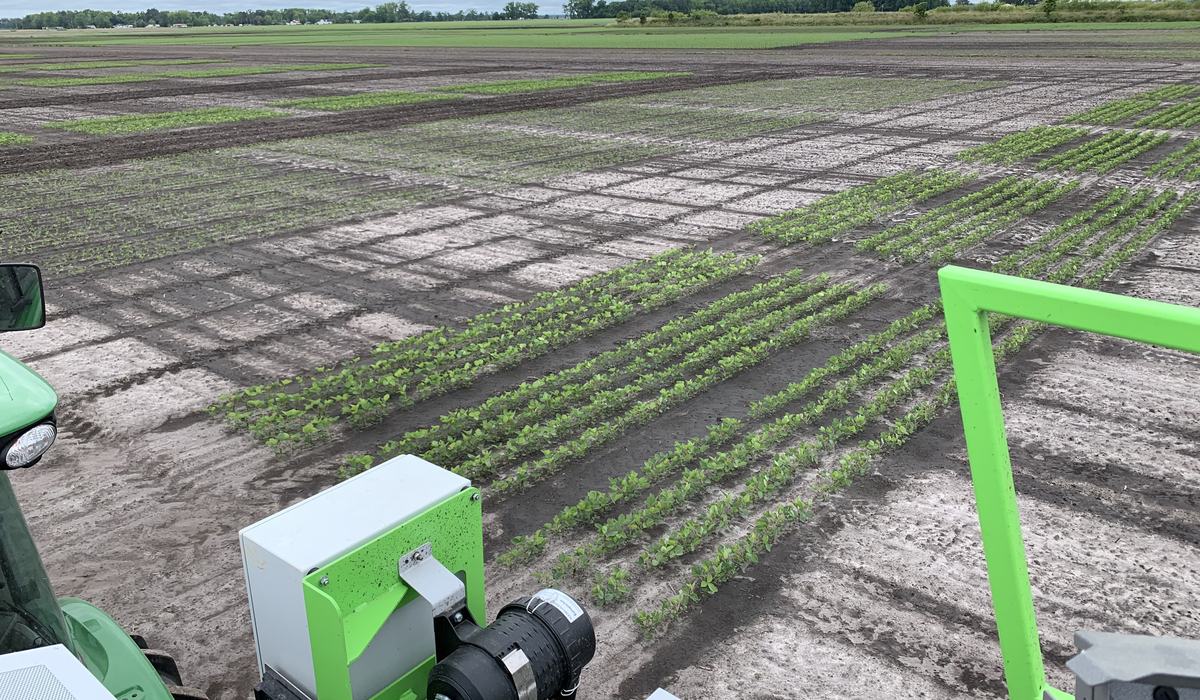 PFP21: Soybean Seeding Rate - Soybeans