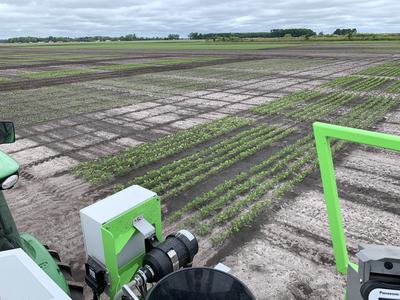 From tractor cab, planted field with young crop rows and rectangular grid test plots