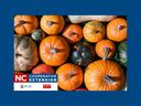 Pumpkin assortment with "NC Cooperative Extension" logo and NC A&T / NC State labels