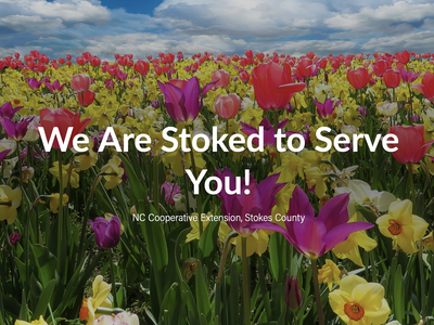 Pink tulips and yellow daffodils in a field; overlaid text: "We Are Stoked to Serve You! NC Cooperative Extension"
