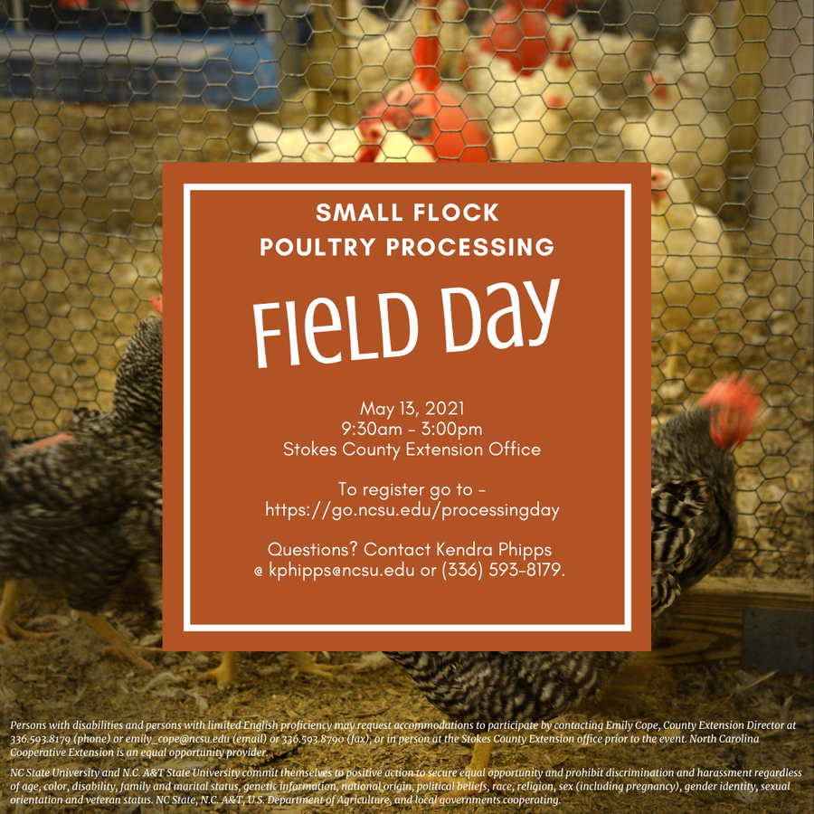 Field Day Flyer