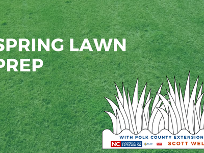 Spring Lawn Preparation