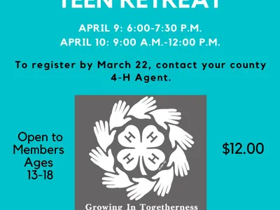 NCD Virtual Teen Retreat Flier