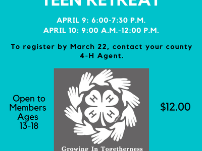 NCD Virtual Teen Retreat Flier