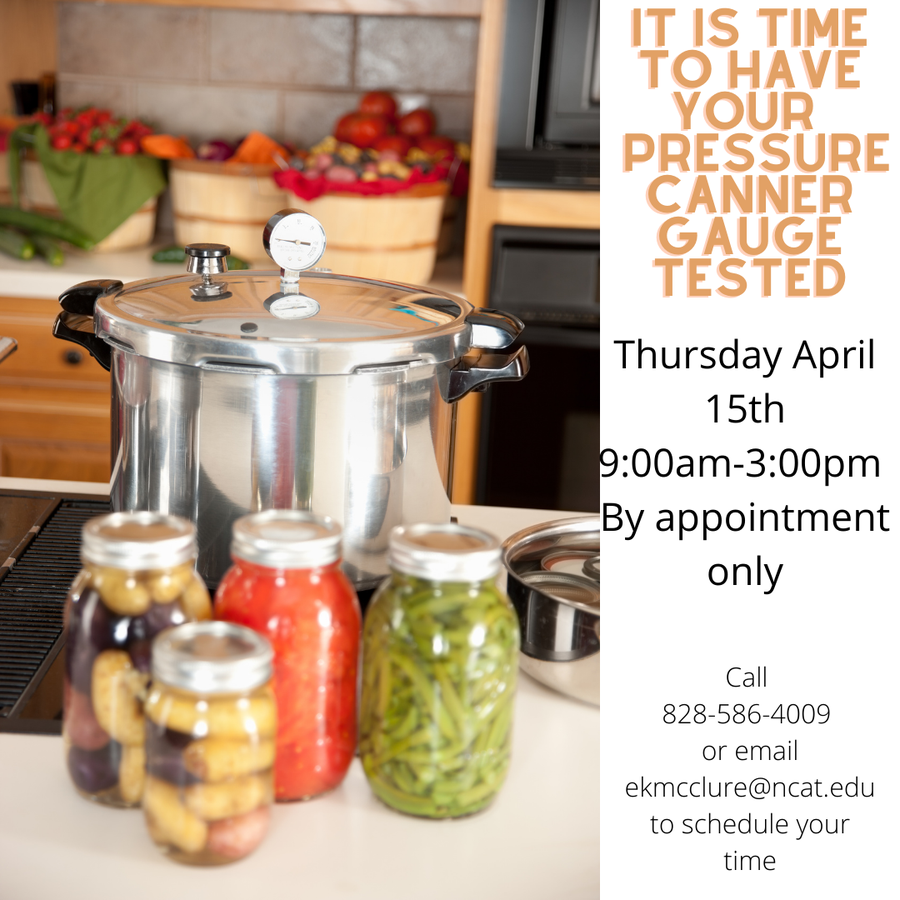 Pressure canner