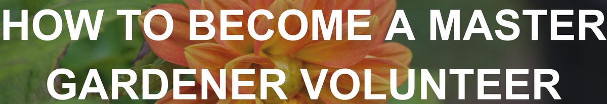 How to become a Master Gardener Volunteer