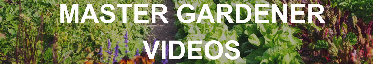 Master Gardener Videos