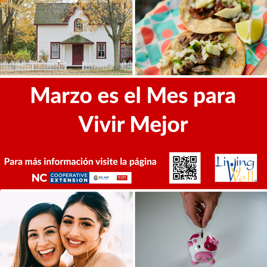 Living Well flyer - Spanish