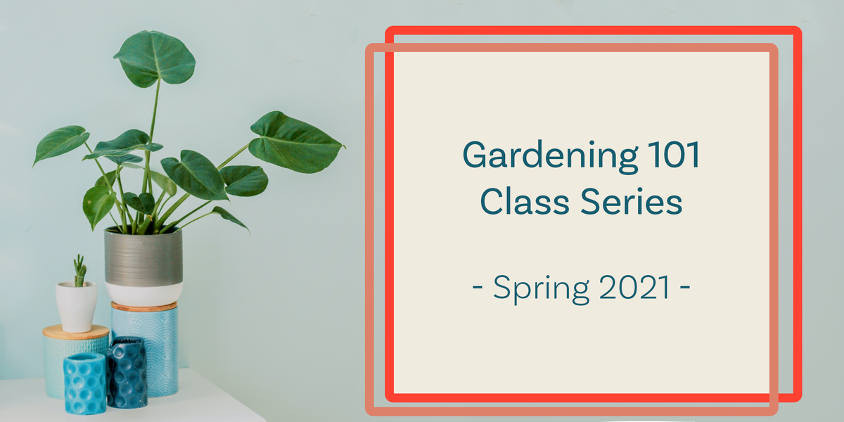 gardening 101 class series