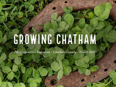 Rusty horseshoe in clover with title text "GROWING CHATHAM"