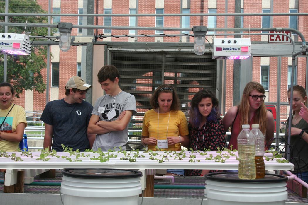 Photo of HSSI youth looking at hydroponic system in the NC State Fox Greenhouses