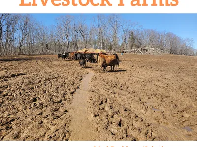 Mud Management for Livestock Farms poster — April 6th 7pm; register: go.ncsu.edu/mud