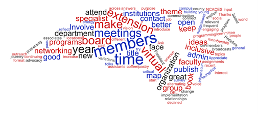 word cloud from open response questions