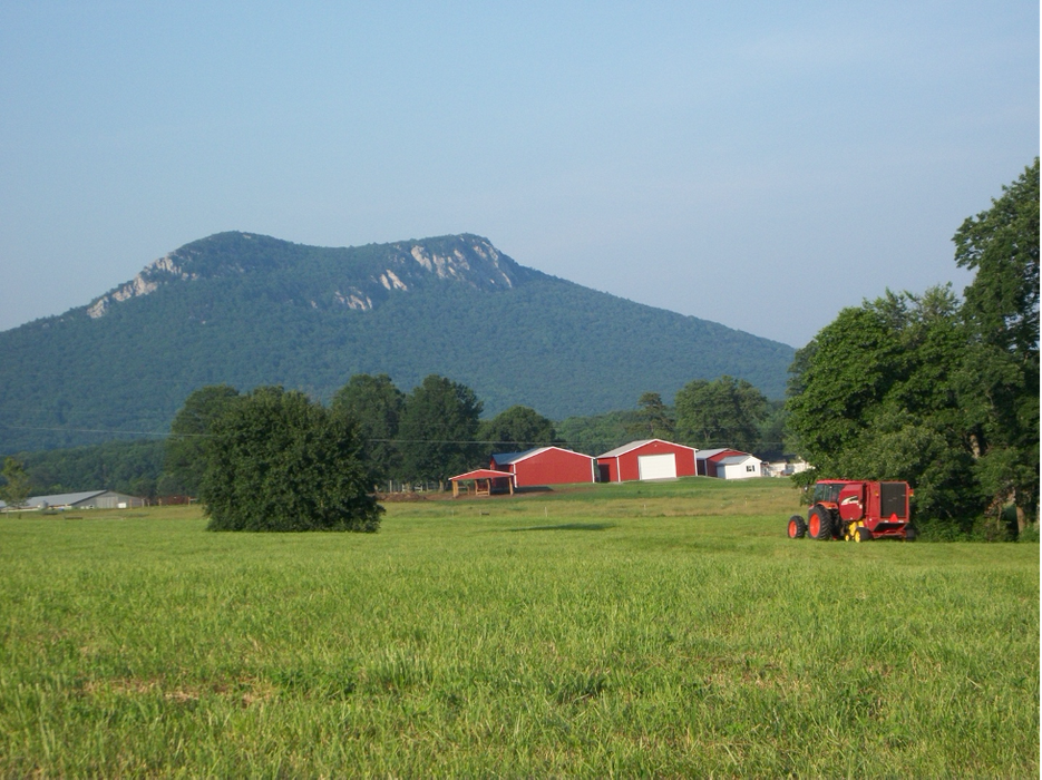 farm