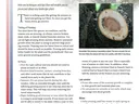 NC State Extension pruning publication