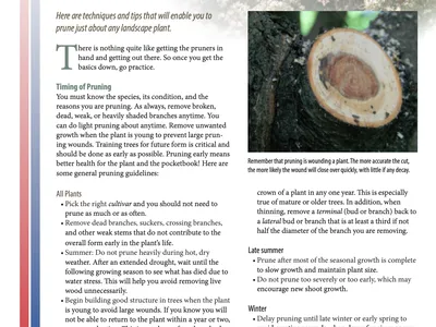 NC State Extension pruning publication