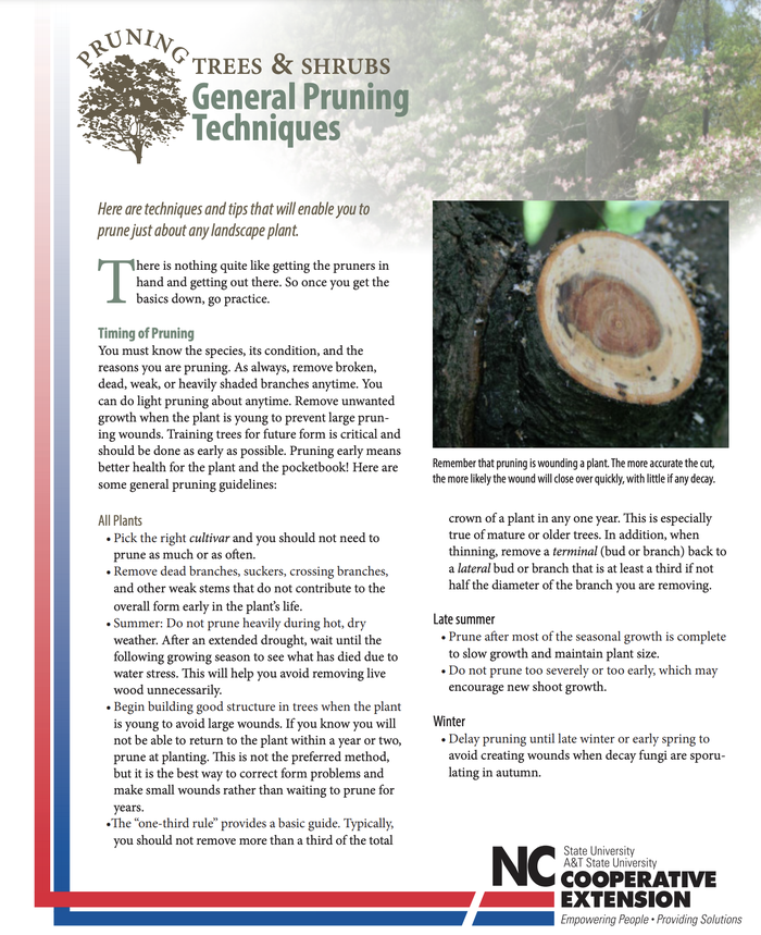 NC State Extension pruning publication