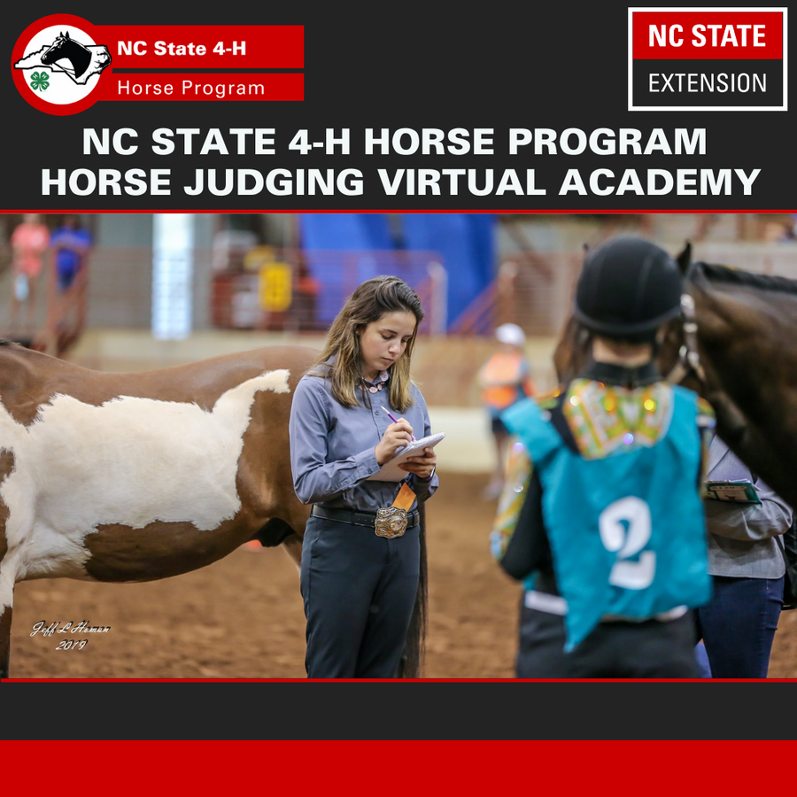 Horse Judging Academy