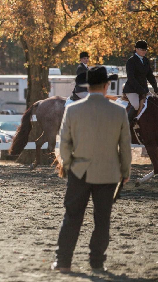 horse show judge