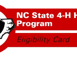horse eligibility